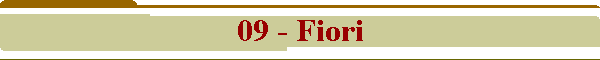09 - Fiori